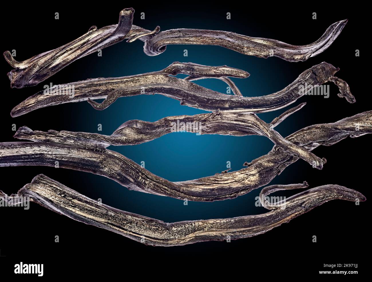Le dysprosium est un élément chimique dont le symbole est Dy et le numéro atomique 66. Banque D'Images