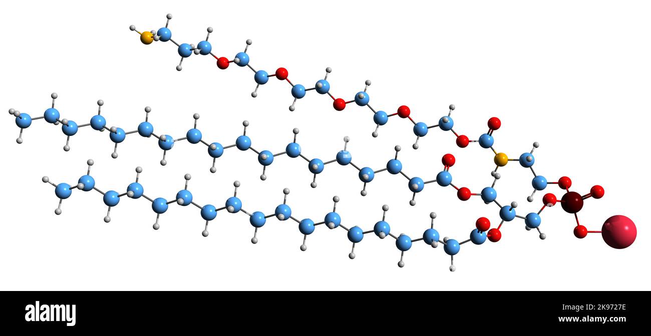 3D image de la formule squelettique phospholipide-PEG-NH2 - structure chimique moléculaire des phospholipides isolés sur fond blanc Banque D'Images