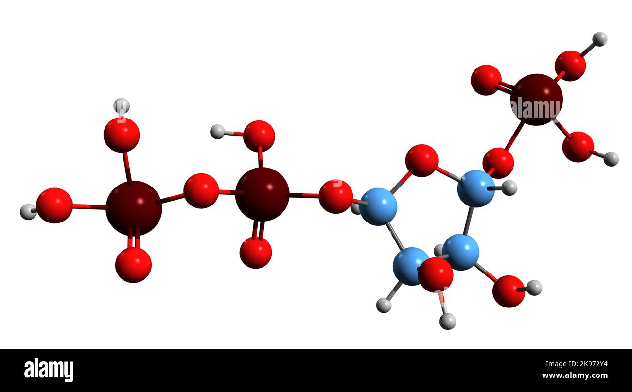 3D image de la formule squelettique du phosphoribosyl pyrophosphate - structure chimique moléculaire de l'intermédiaire biochimique isolé sur fond blanc Banque D'Images