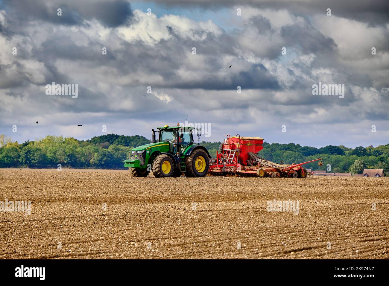 Forage de semences dans une ferme agricole Banque D'Images