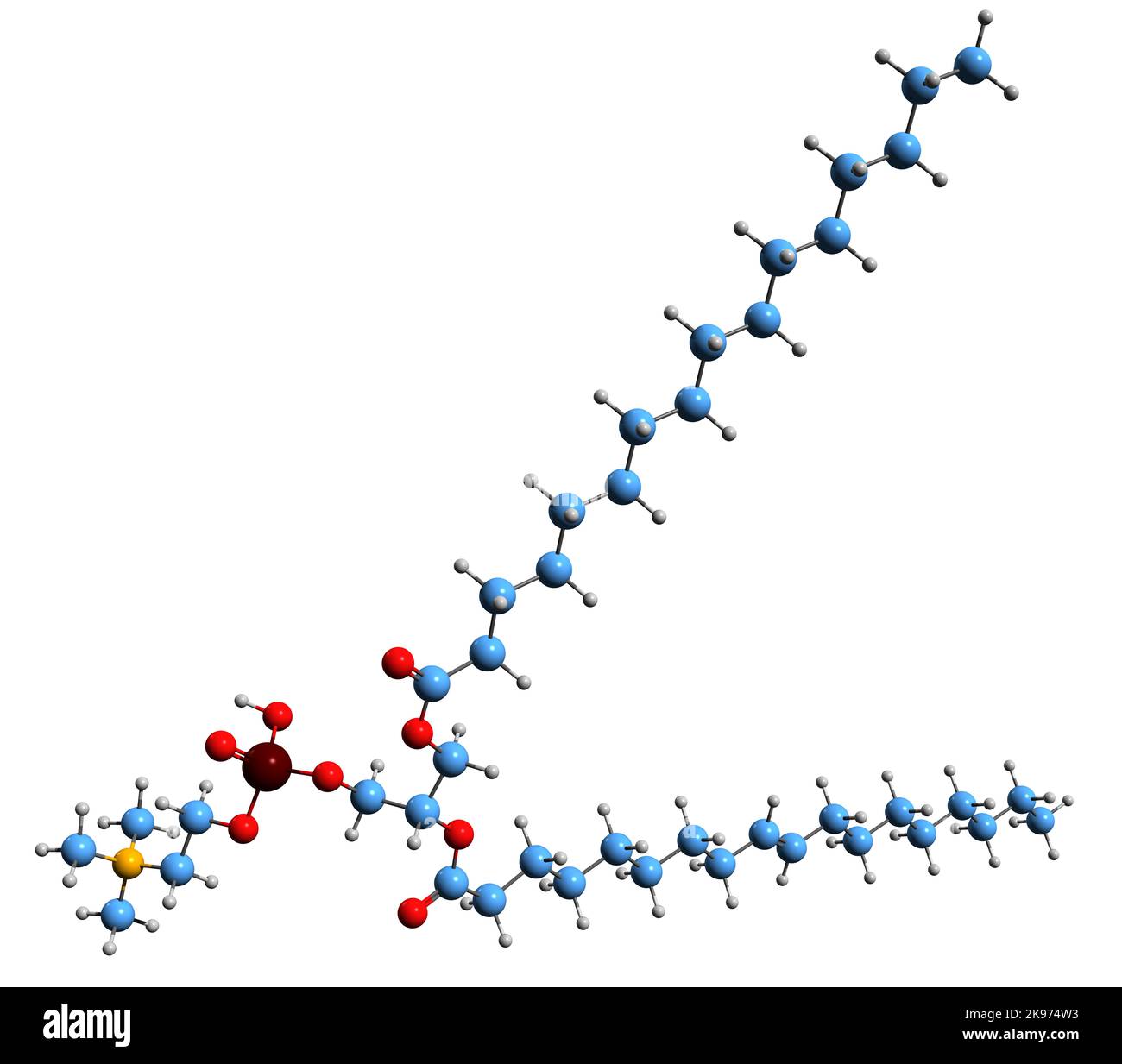 3D image de la formule squelettique de la phosphatidylcholine - structure chimique moléculaire des phospholipides isolés sur fond blanc Banque D'Images