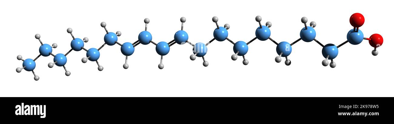 3D image de la formule squelettique de l'acide ruménique - structure chimique moléculaire de l'acide bovinique isolé sur fond blanc Banque D'Images