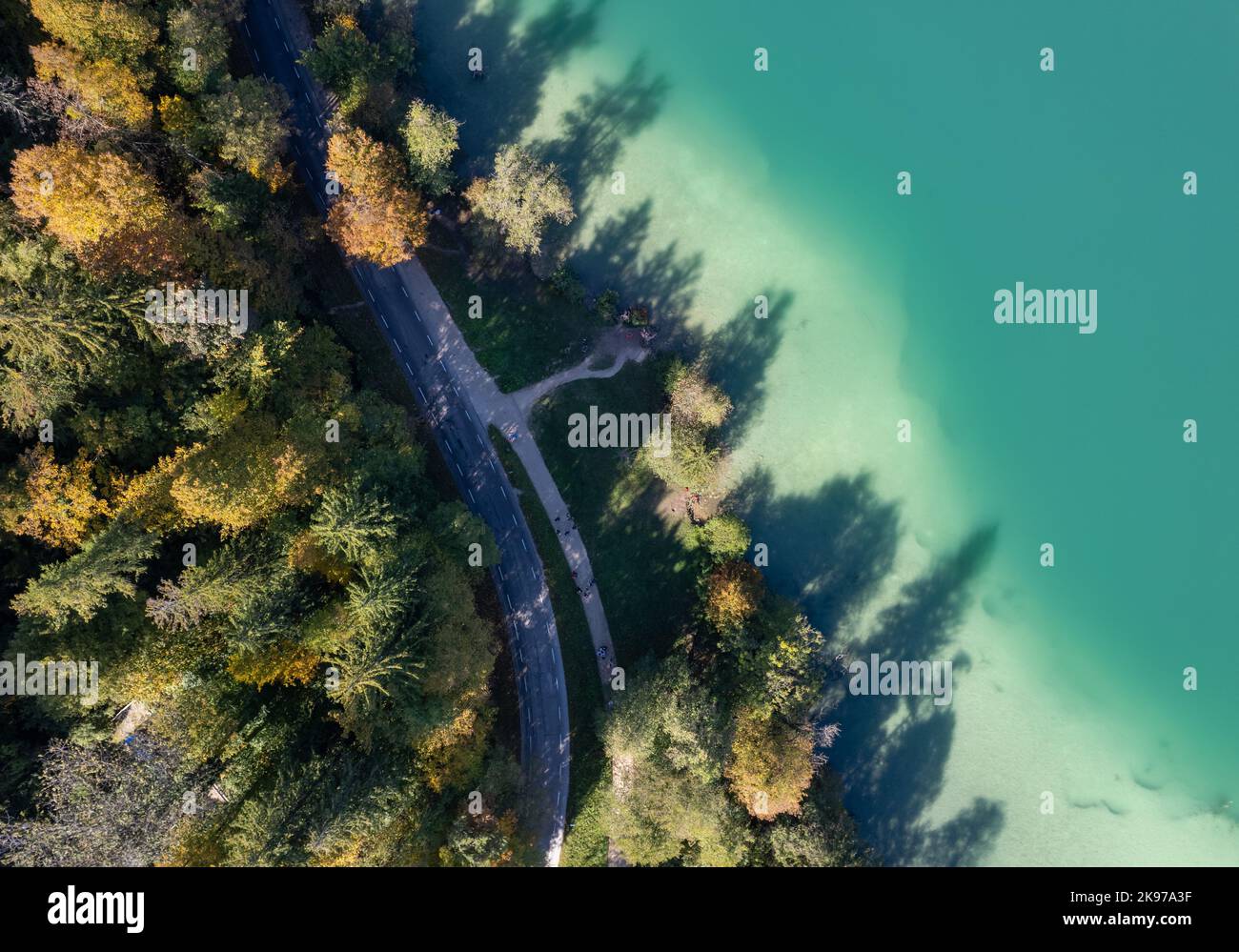 Lac Bled en automne, photo du drone, Slovénie Banque D'Images