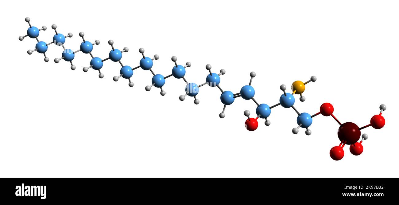 3D image de la formule squelettique Sphingosine-1-phosphate - structure chimique moléculaire du sphingolipide de signalisation isolé sur fond blanc Banque D'Images