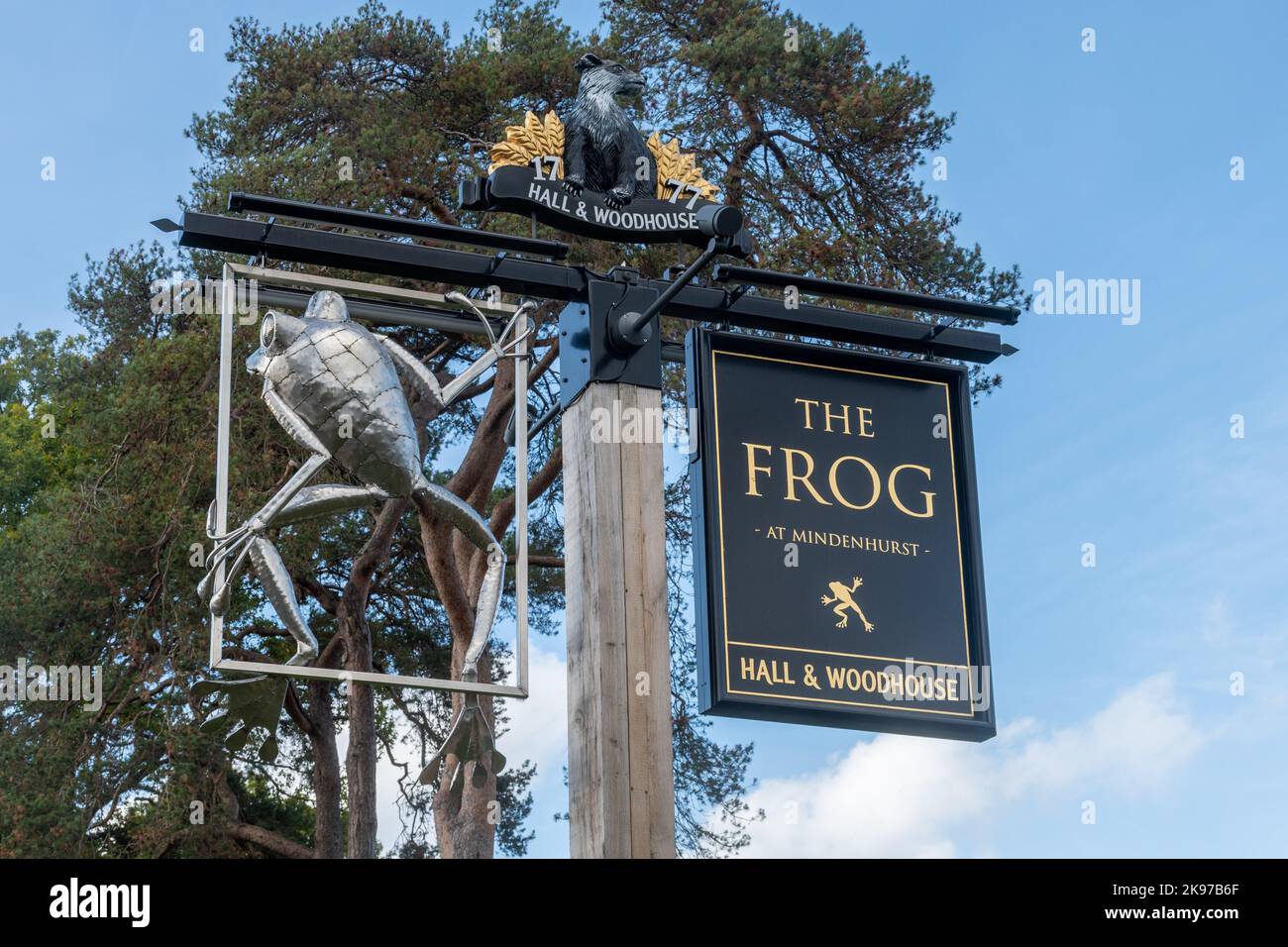 The Frog of Mindenhurst, un pub Hall & Woodhouse dans le nouveau bâtiment de Deepcut, Surrey, Angleterre, Royaume-Uni Banque D'Images