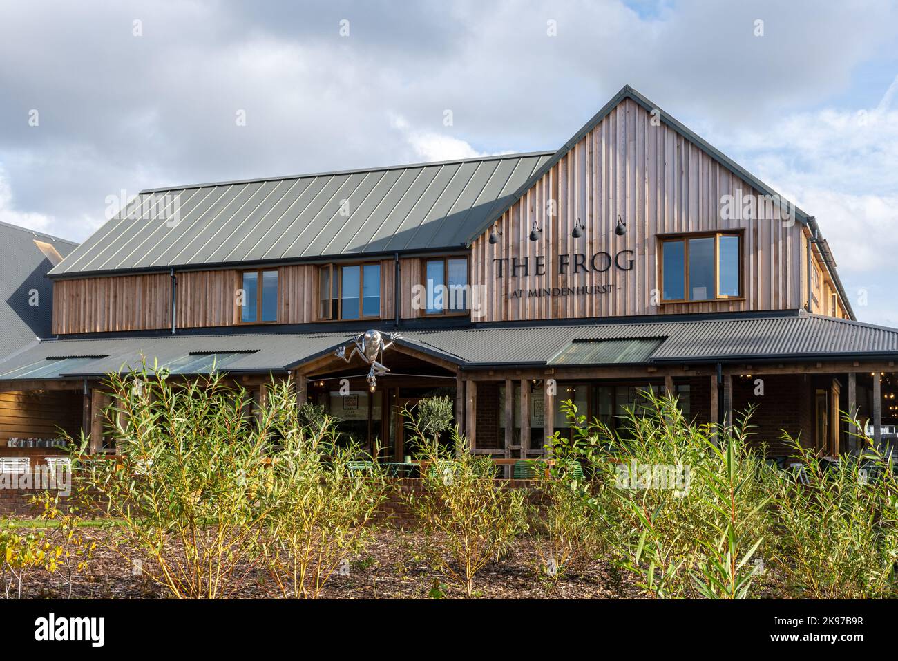 The Frog of Mindenhurst, un pub Hall & Woodhouse dans le nouveau bâtiment de Deepcut, Surrey, Angleterre, Royaume-Uni Banque D'Images