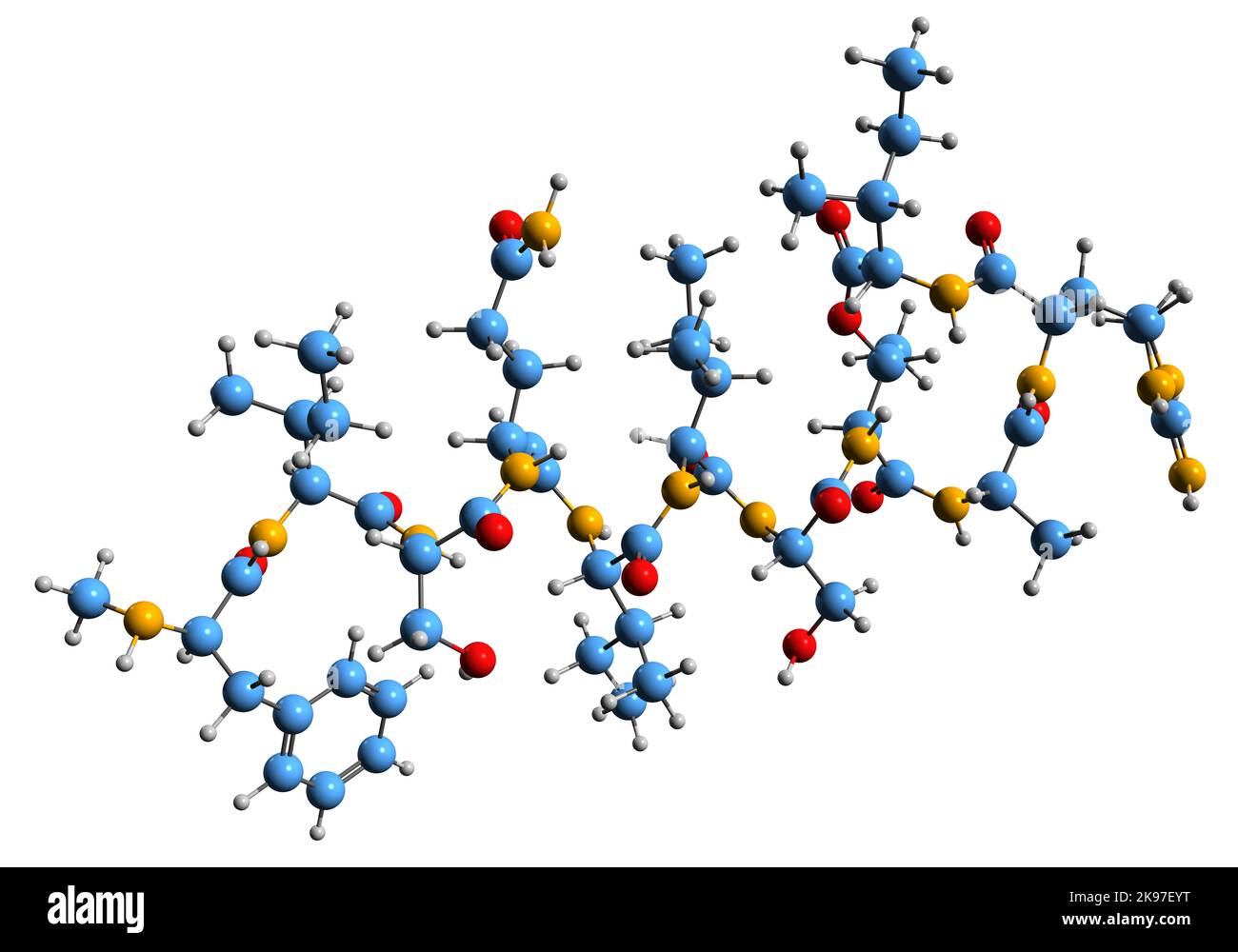 3D image de la formule squelettique Teixobactine - structure chimique moléculaire des bactéries peptide-comme métabolite secondaire isolé sur fond blanc Banque D'Images