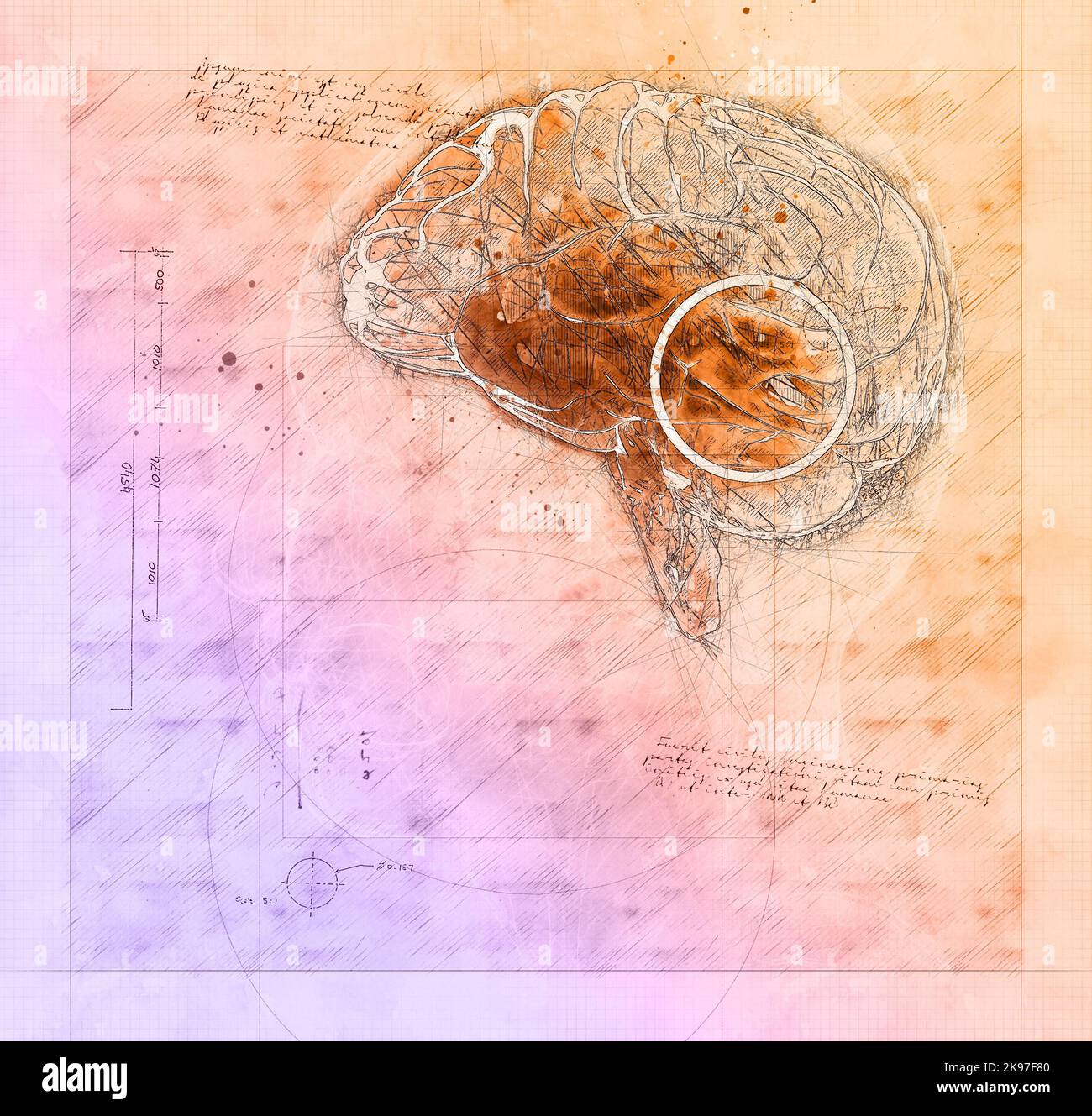 Étude du cerveau, dessin de l'homme en profil avec le cerveau. Potentialité de l'esprit. Compétences mentales et compétences IQ intelligence, mesure. Ai Banque D'Images