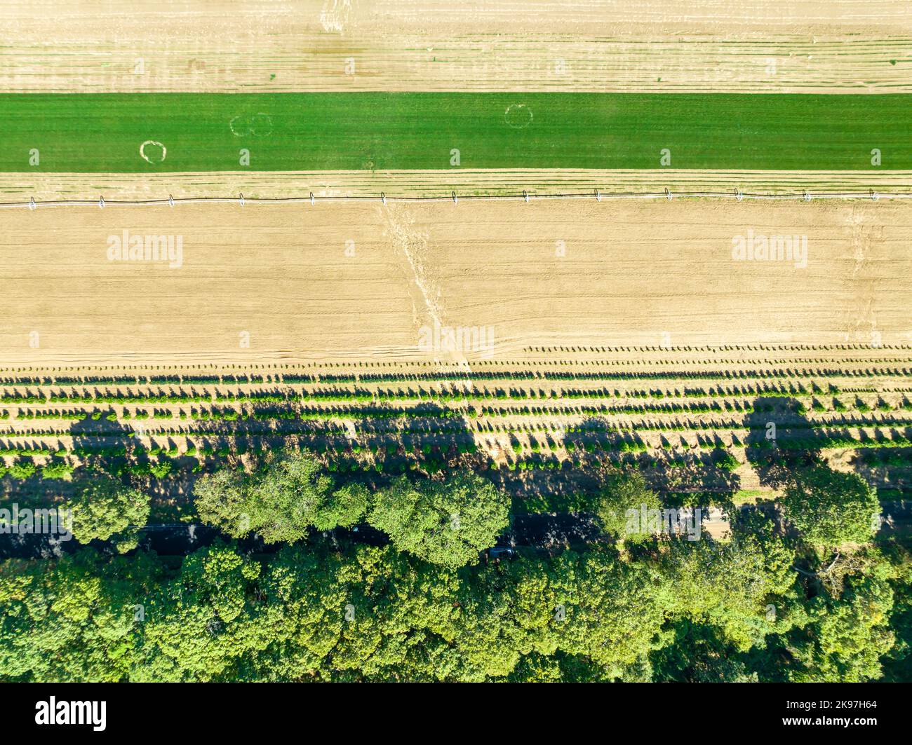 Vue aérienne d'un champ de ferme à Water Mill, NY Banque D'Images