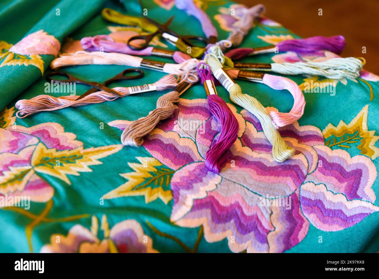 Détails de la broderie de fleur maya , Oaxaca Mexique Banque D'Images