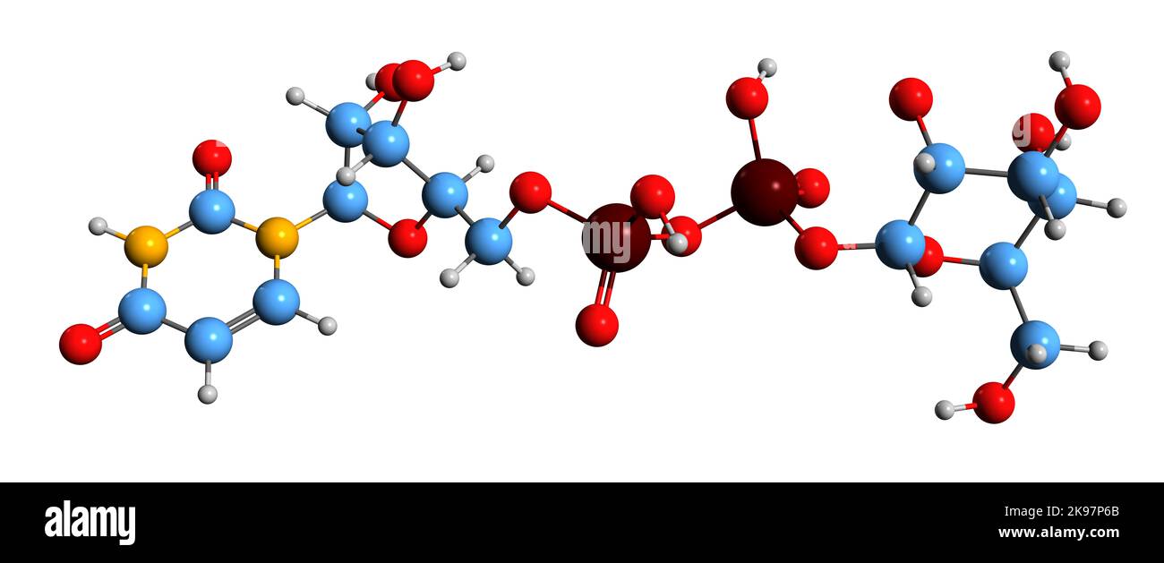 3D image de formule squelettique de glucose de diphosphate d'uridine - structure chimique moléculaire de l'UDP-glucose isolée sur fond blanc Banque D'Images