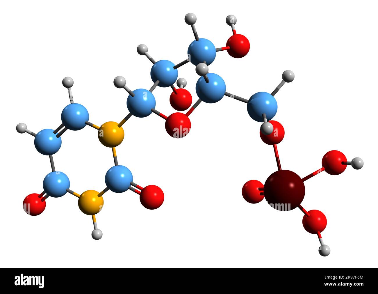 3D image de la formule squelettique de l'uridine monophosphate - structure chimique moléculaire du métabolite UMP isolé sur fond blanc Banque D'Images