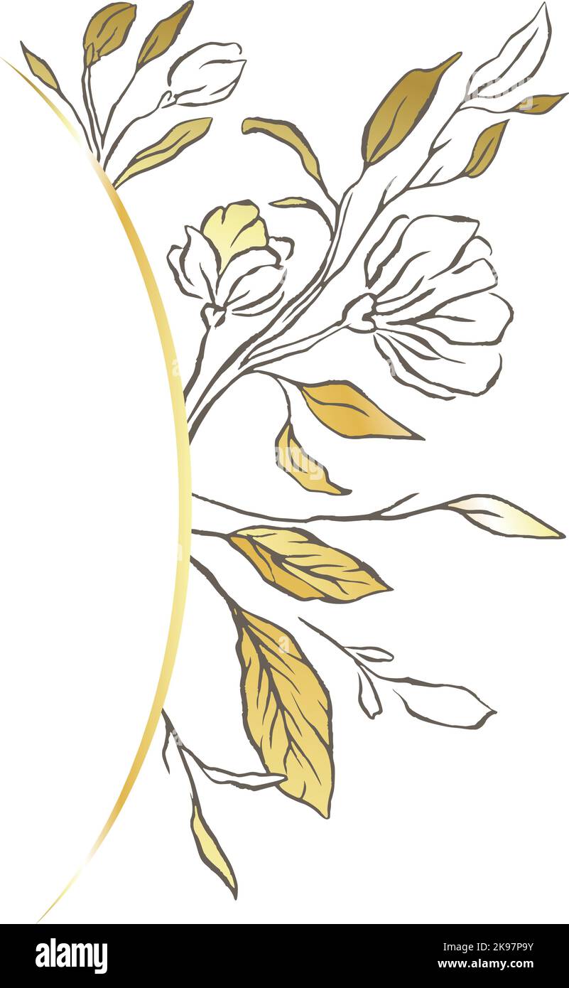 Fleur diviseur cadre mariage or vie nature beauté fleurs Illustration de Vecteur