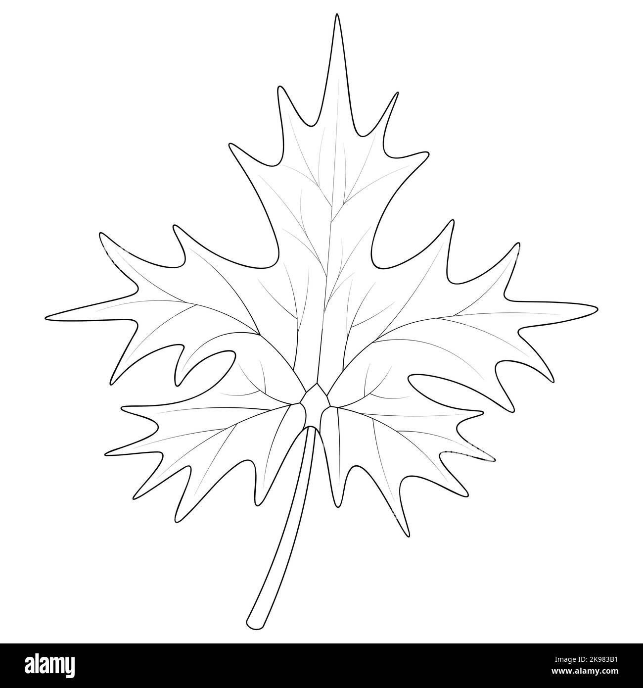 Feuille d'érable. Partie de l'arbre avec nervures. Illustration vectorielle. Sur un arrière-plan blanc isolé. Style Doodle. Esquisse. Livre de coloriage Illustration de Vecteur