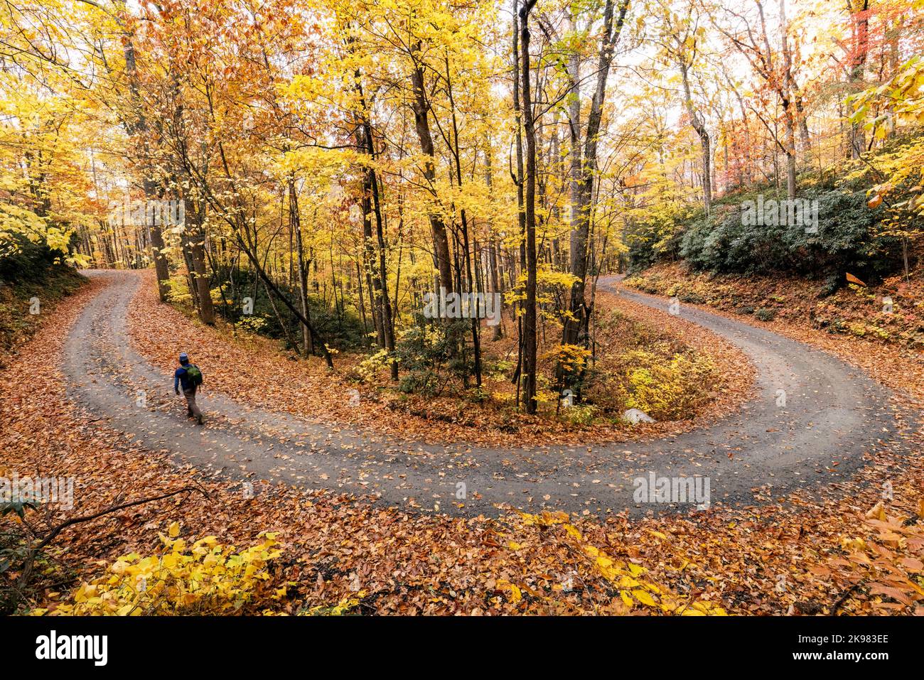 Personne randonnée sur la route sinueuse de gravier à travers le feuillage d'automne vibrant dans la forêt nationale de Pisgah, Brevard, Caroline du Nord, États-Unis Banque D'Images