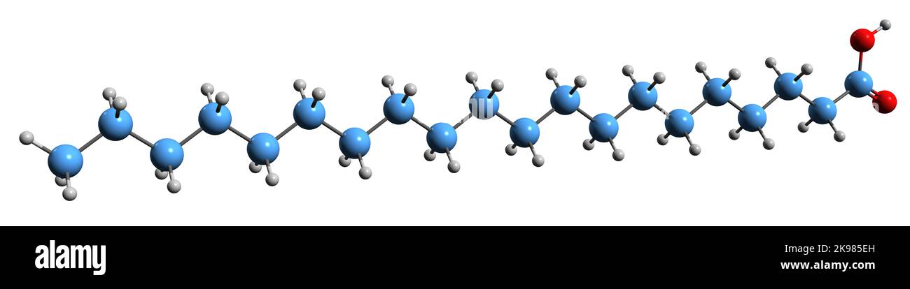 3D image de la formule squelettique de l'acide arachidique - structure chimique moléculaire de l'acide isosanoïque isolé sur fond blanc Banque D'Images