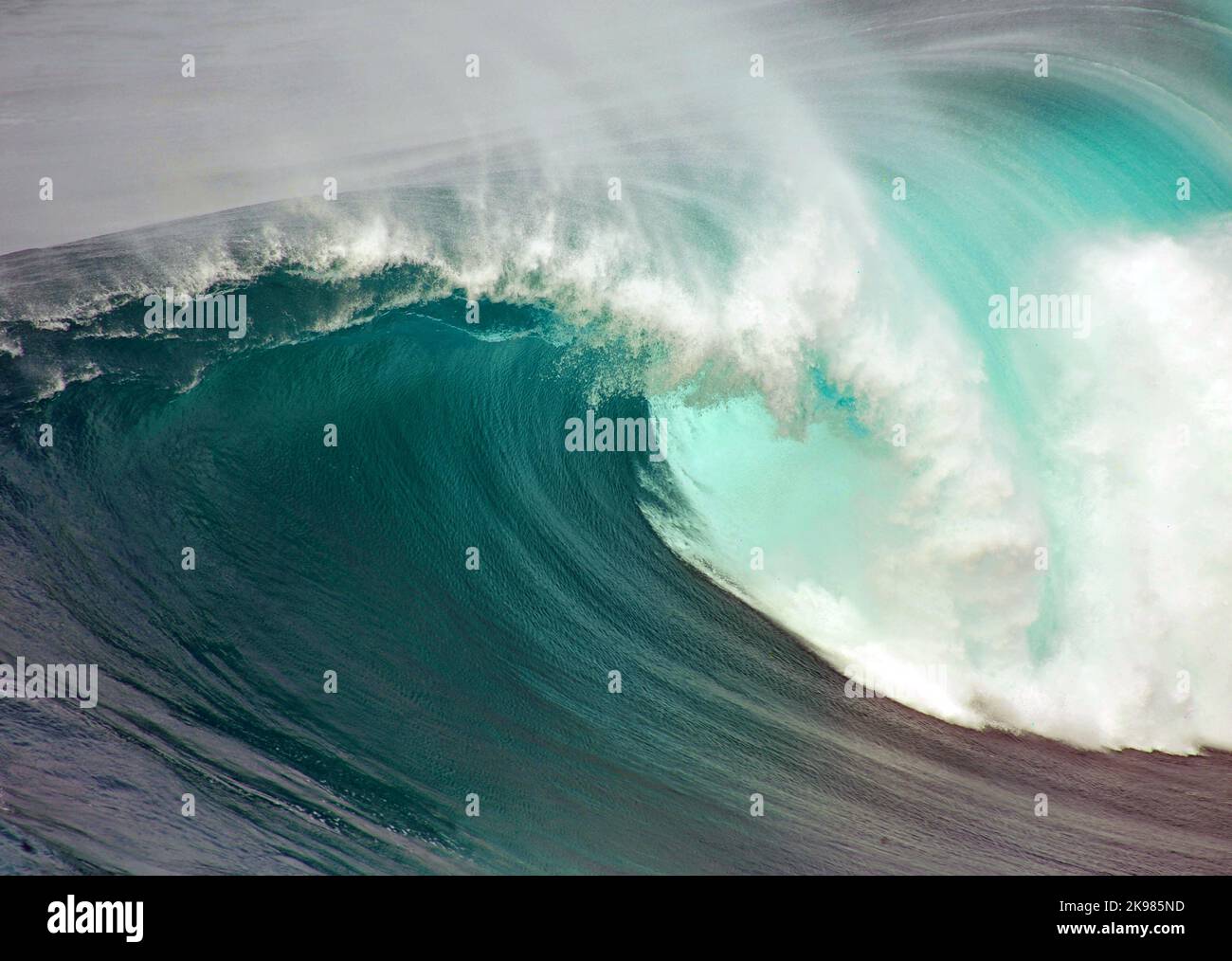 Saison des grandes vagues, Nazarè, Portugal Banque D'Images