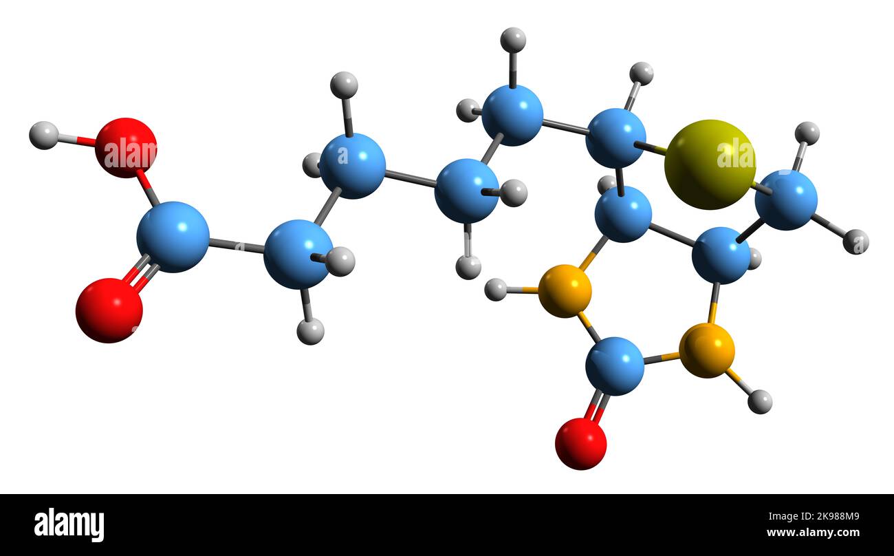 3D image de la formule squelettique Biotine - structure chimique moléculaire de la vitamine B7 isolée sur fond blanc Banque D'Images