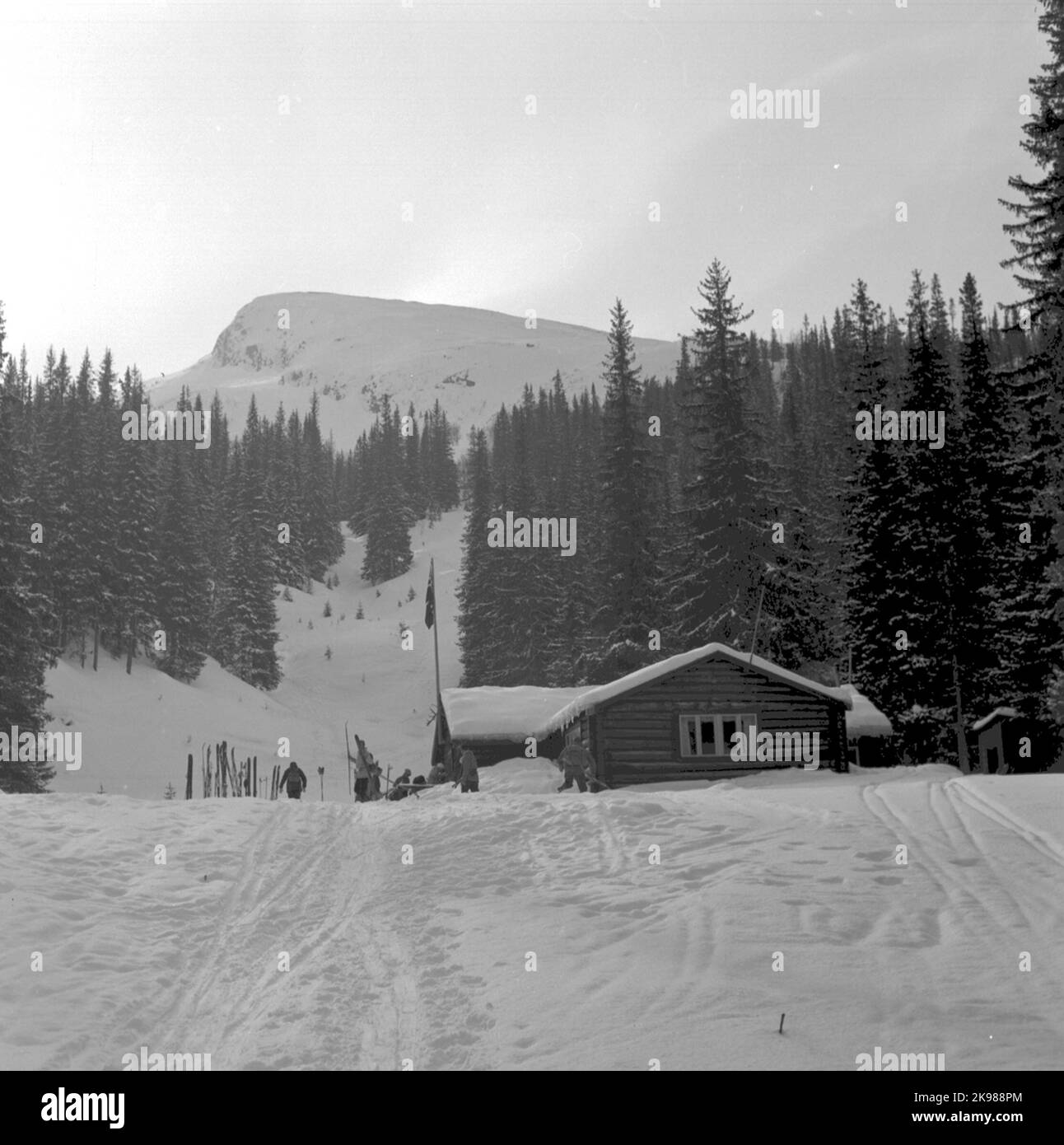 Storlienträngen, slalom Cabin Teveldal. Steinfjället en arrière-plan. Banque D'Images