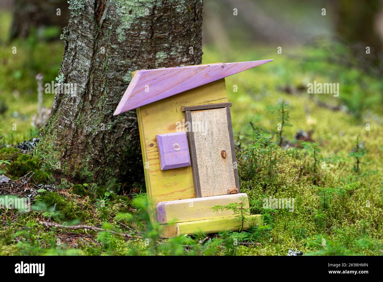 Une maison de fées au fond d'un arbre. Il y a une petite maison jaune avec un toit en bois violet, une porte simple, et une fenêtre violette. La maison est petite. Banque D'Images