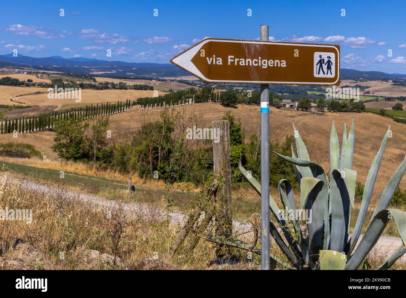 Paysage le long de la via Francigena avec route de Mud, champs, arbres et vignoble. Panneau indiquant la direction de Monteroni d'Arbia, route de la via francigen Banque D'Images