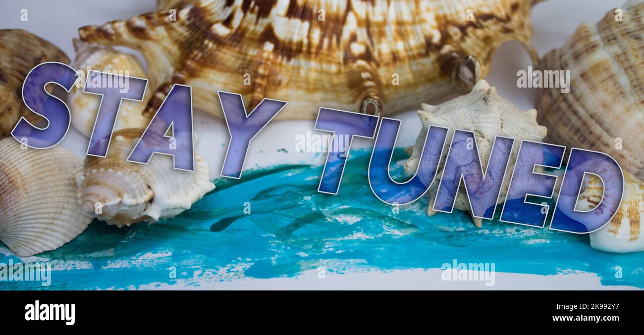 Animal Shell, vacances d'été, fond marin avec texte rester à l'écoute. Banque D'Images