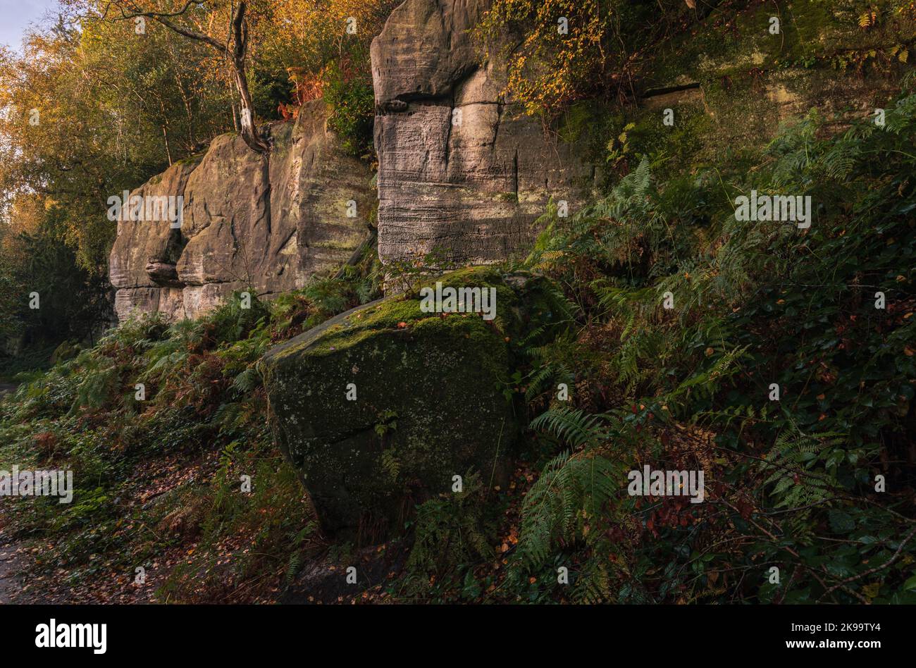 L'aube d'automne à Eridge Rocks sur le Haut Weald East Sussex, au sud-est de l'Angleterre Banque D'Images
