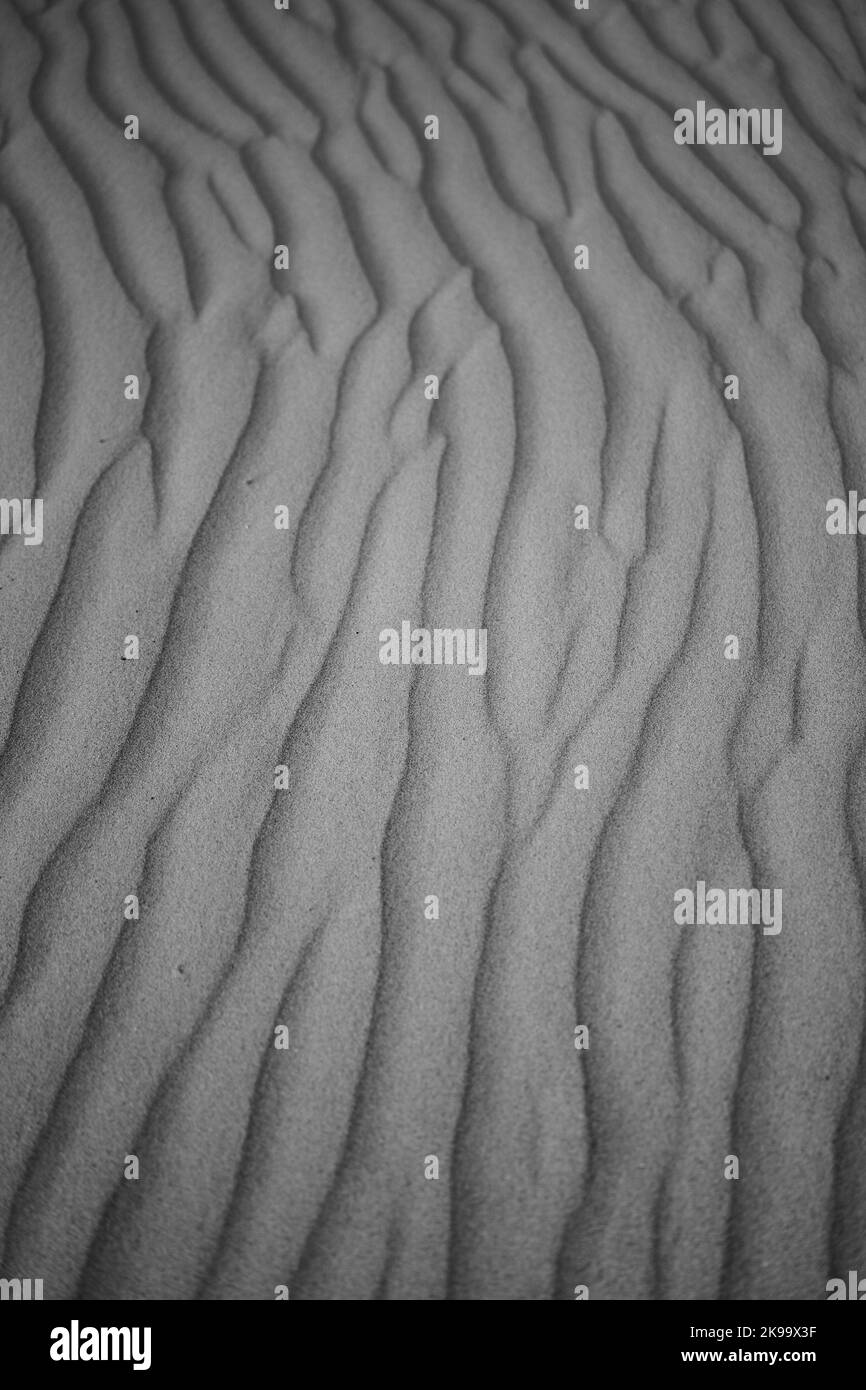 Une photo verticale en niveaux de gris de textures de dunes de sable pour les fonds d'écran Banque D'Images