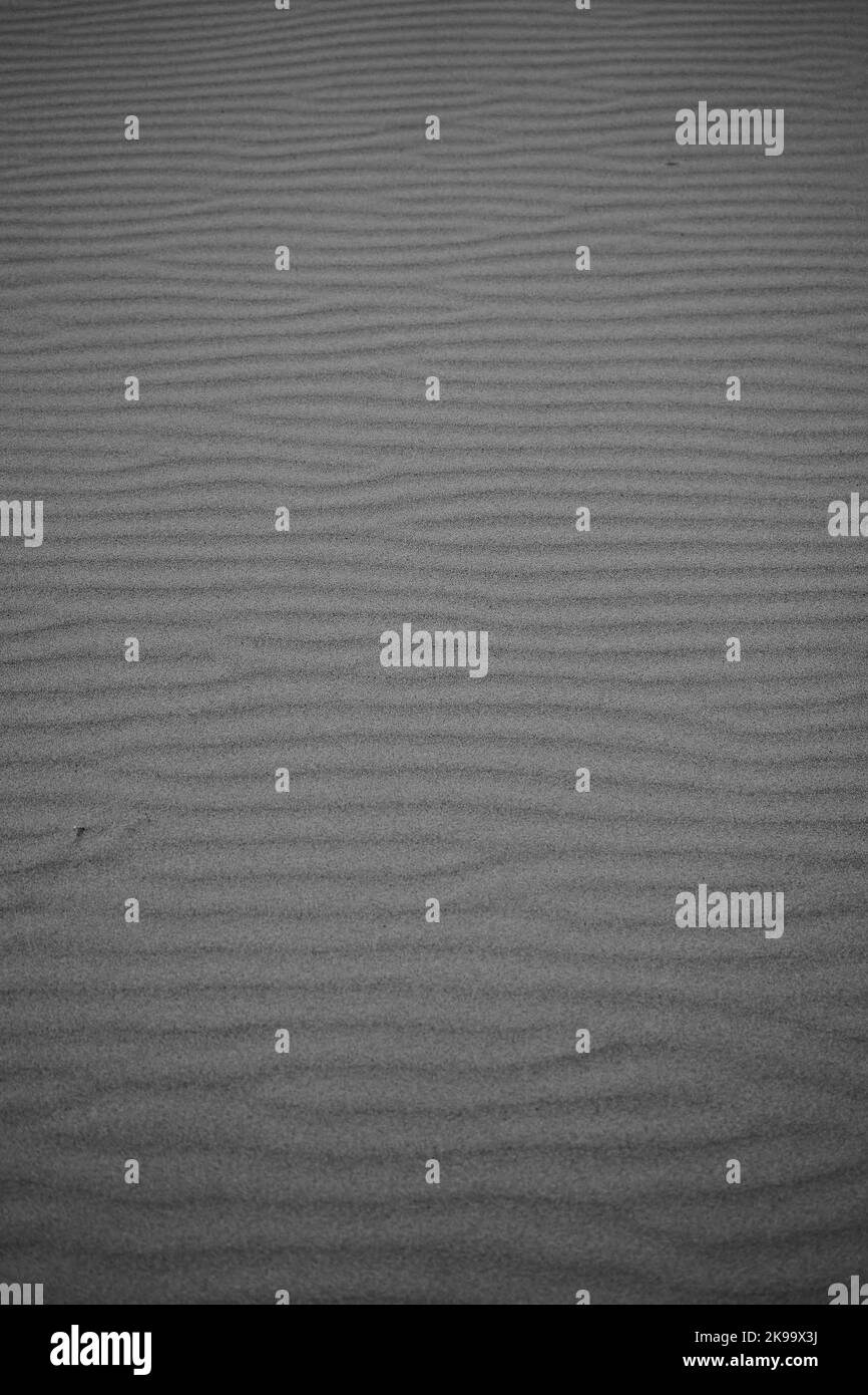 Une photo verticale en niveaux de gris de textures de dunes de sable pour les fonds d'écran Banque D'Images