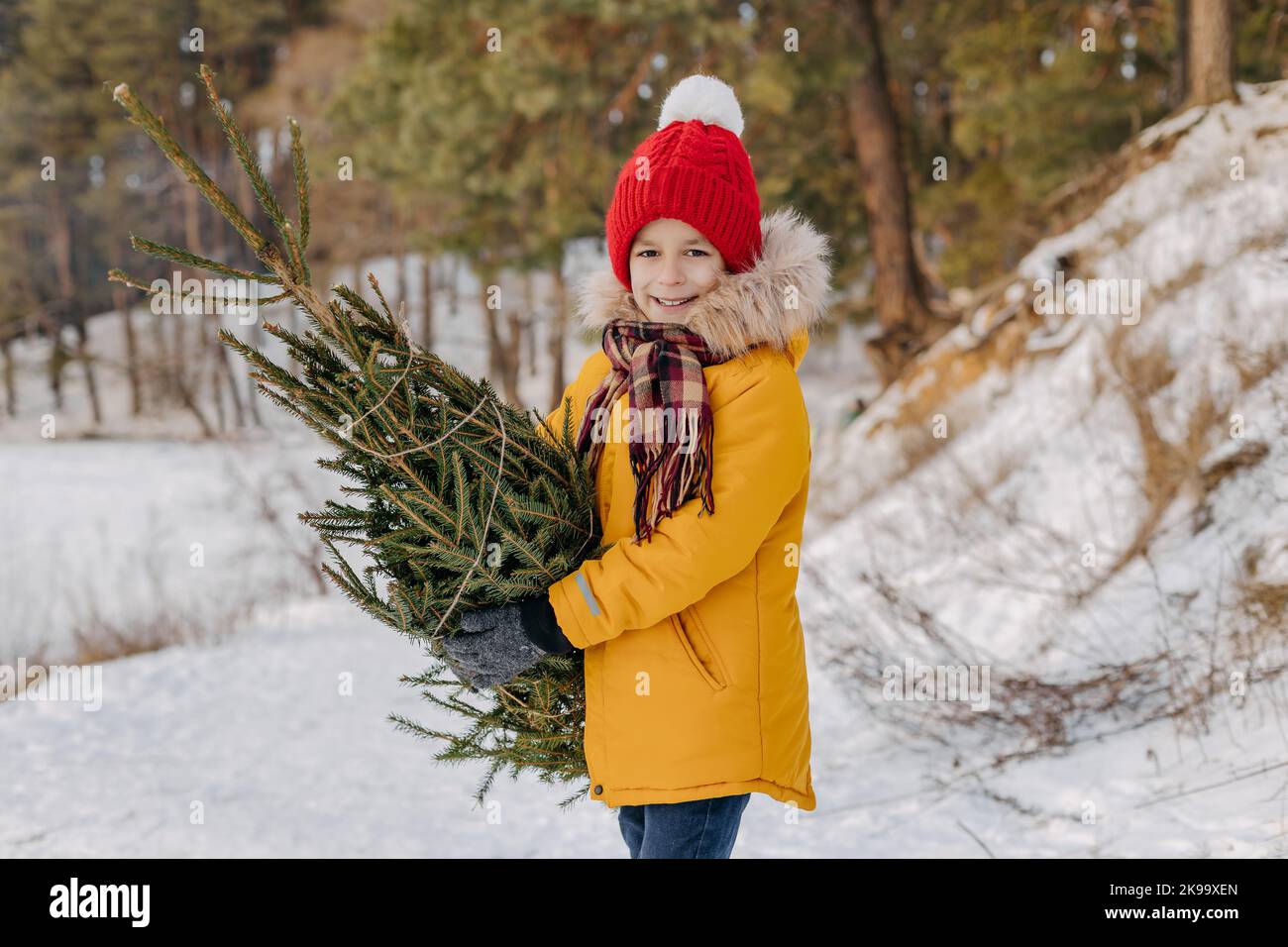 Joyeux enfant tenant dans les mains couper l'arbre de noël sur le fond de forêt enneigée. Garçon avec sapin de Noël. Concept de vacances d'hiver, traditions et ce Banque D'Images