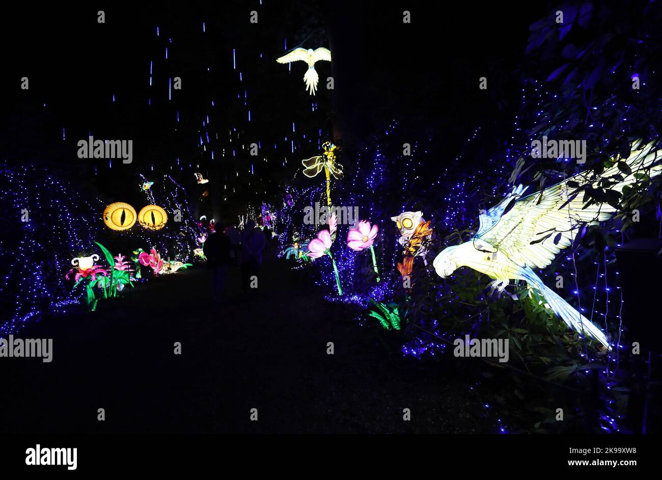 Paris, France. 26th octobre 2022. Des sculptures illuminées sont photographiées lors d'une visite médiatique d'un festival de lumière au zoo de Thoiry près de Paris, France, le 26 octobre 2022. Le festival va commencer ici dimanche, exposant environ 2 000 sculptures illuminées. Credit: Gao Jing/Xinhua/Alamy Live News Banque D'Images