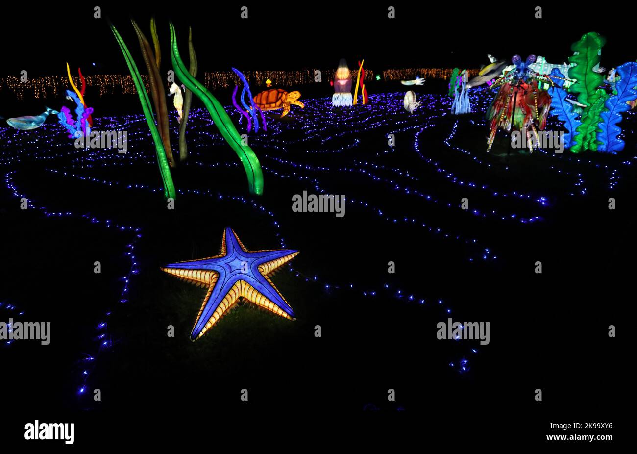 Paris, France. 26th octobre 2022. Des sculptures illuminées sont photographiées lors d'une visite médiatique d'un festival de lumière au zoo de Thoiry près de Paris, France, le 26 octobre 2022. Le festival va commencer ici dimanche, exposant environ 2 000 sculptures illuminées. Credit: Gao Jing/Xinhua/Alamy Live News Banque D'Images