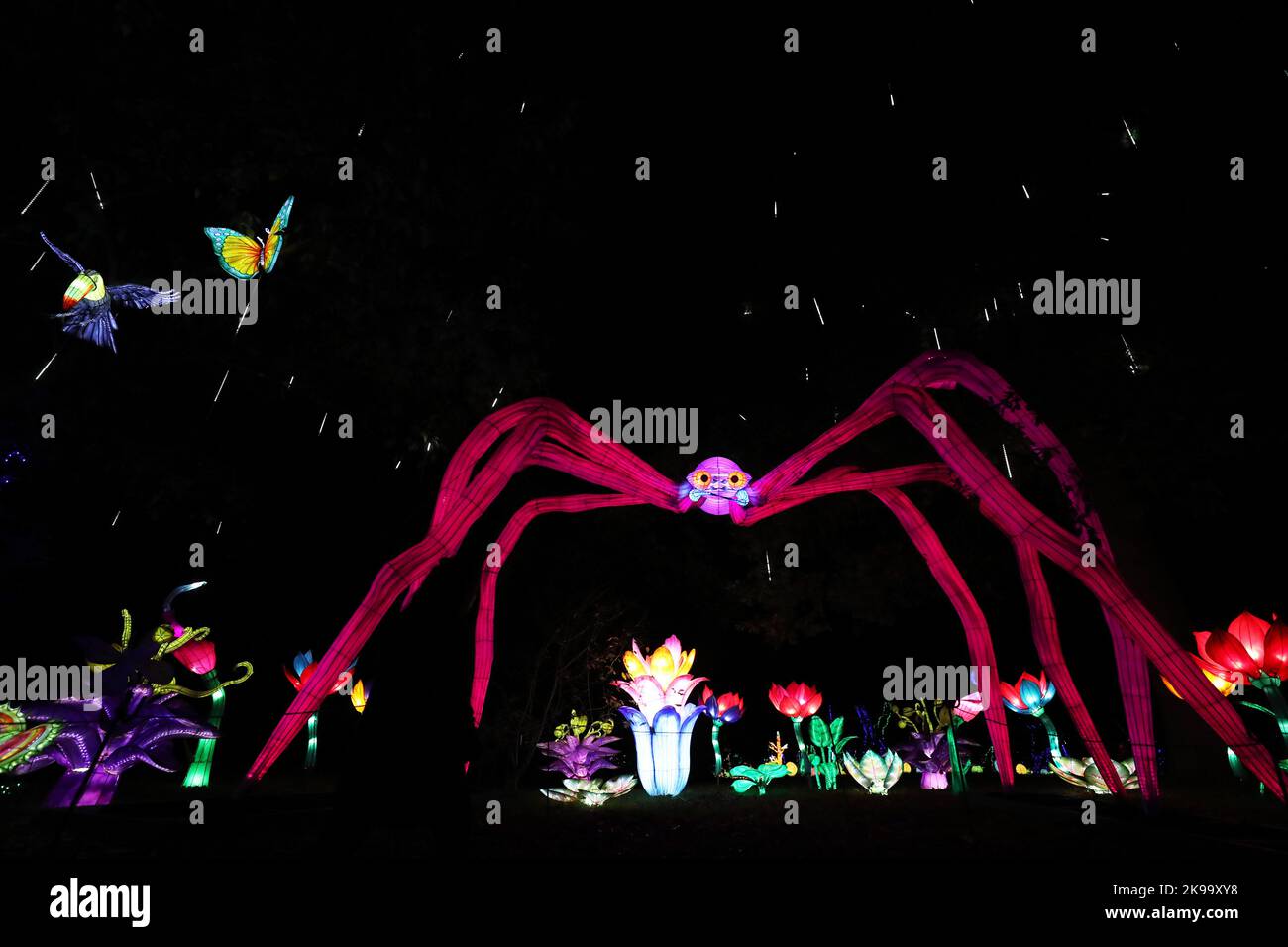 Paris, France. 26th octobre 2022. Des sculptures illuminées sont photographiées lors d'une visite médiatique d'un festival de lumière au zoo de Thoiry près de Paris, France, le 26 octobre 2022. Le festival va commencer ici dimanche, exposant environ 2 000 sculptures illuminées. Credit: Gao Jing/Xinhua/Alamy Live News Banque D'Images
