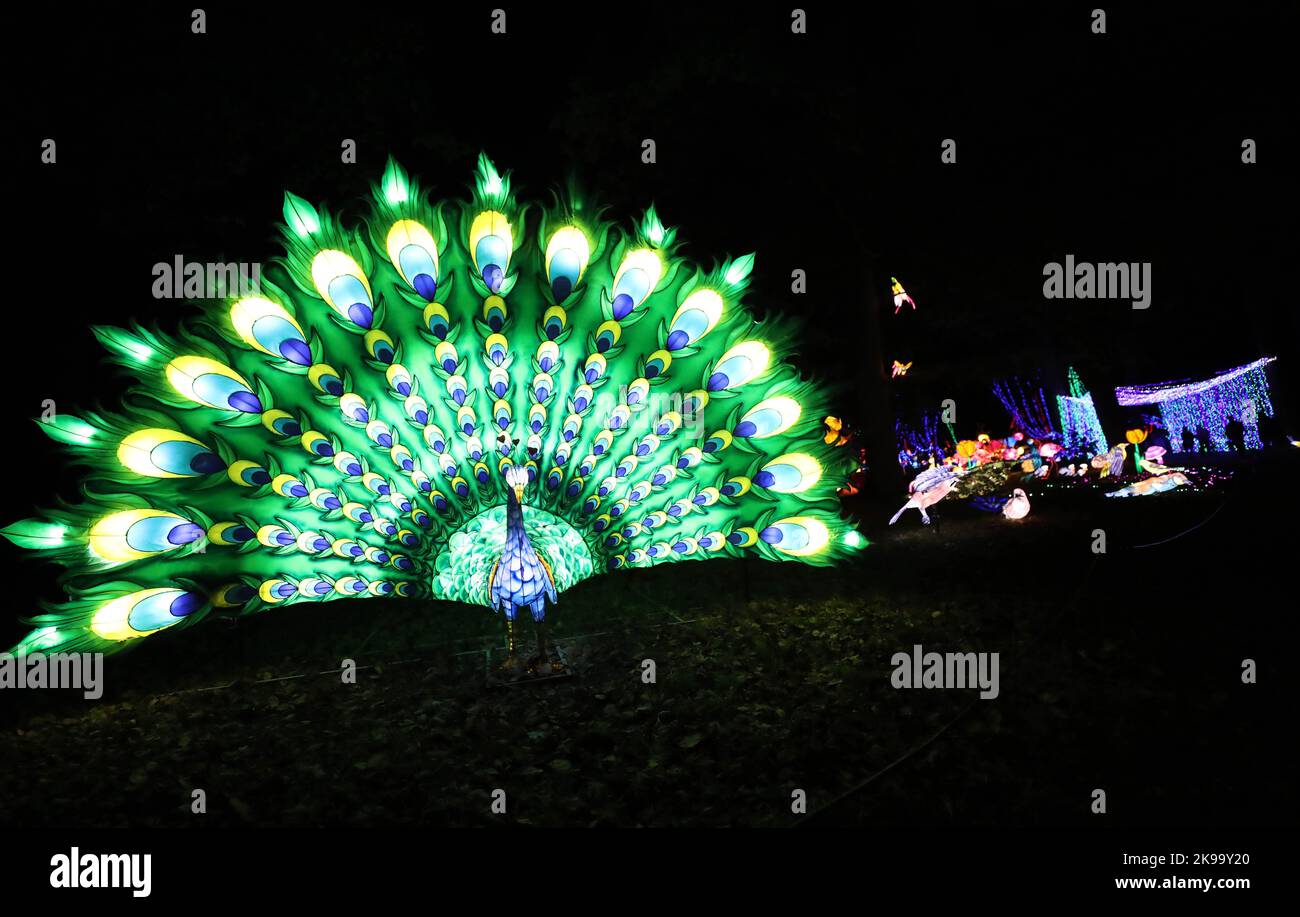 Paris, France. 26th octobre 2022. Des sculptures illuminées sont photographiées lors d'une visite médiatique d'un festival de lumière au zoo de Thoiry près de Paris, France, le 26 octobre 2022. Le festival va commencer ici dimanche, exposant environ 2 000 sculptures illuminées. Credit: Gao Jing/Xinhua/Alamy Live News Banque D'Images