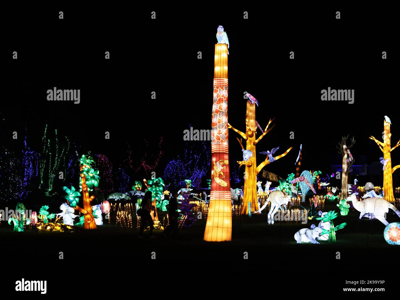 Paris, France. 26th octobre 2022. Les visiteurs peuvent admirer des sculptures illuminées lors d'une visite médiatique d'un festival de lumière au zoo de Thoiry près de Paris, France, le 26 octobre 2022. Le festival va commencer ici dimanche, exposant environ 2 000 sculptures illuminées. Credit: Gao Jing/Xinhua/Alamy Live News Banque D'Images