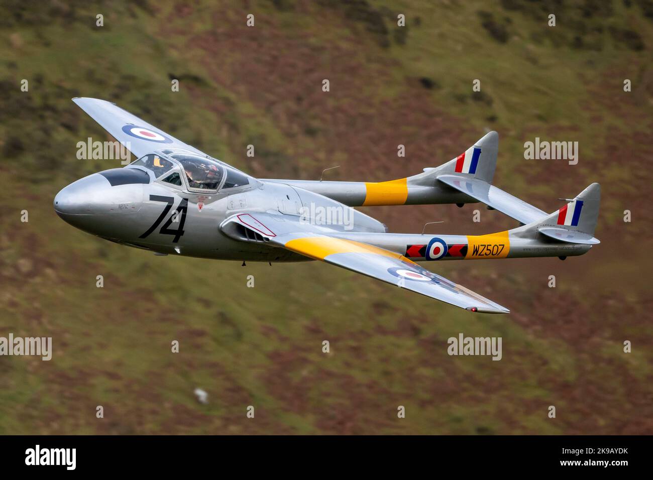 De Havilland Vampire Banque D'Images