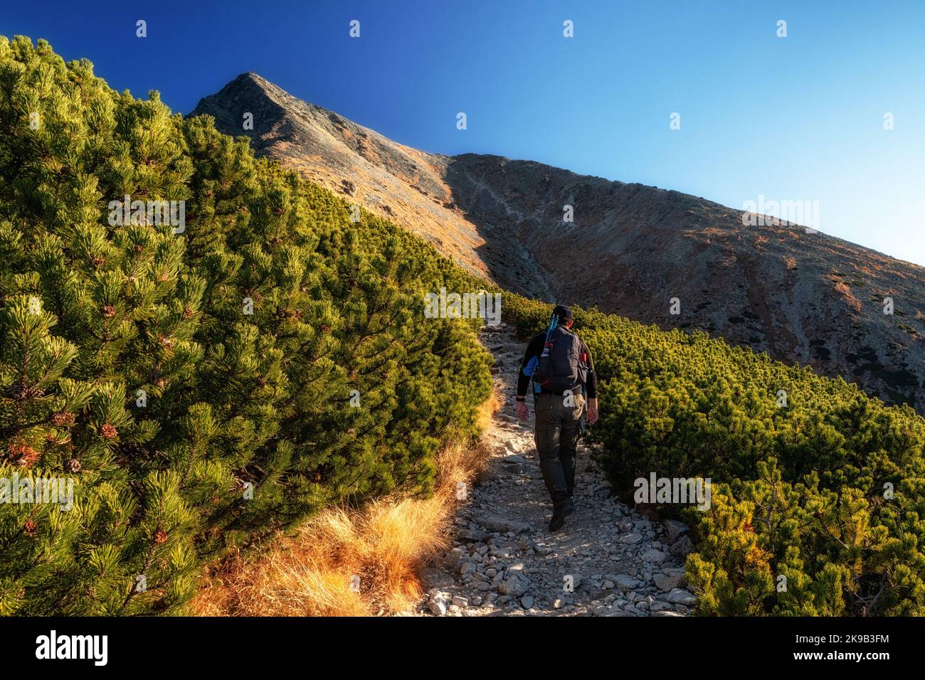 Randonnée sur le sentier de montagne en haut du sommet de Krivan dans les montagnes de High Tatras, Slovaquie. Banque D'Images