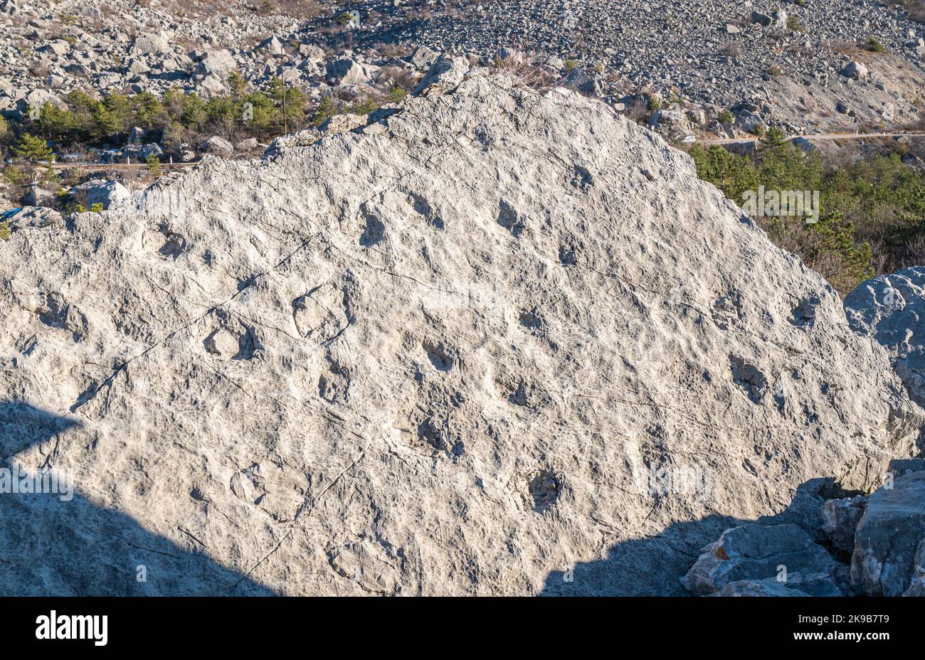 Empreintes de dinosaures (Jurassique inférieur il y a 210 millions d'années ) à Marocche di Dro' - province de trente - Nord de l'Italie Banque D'Images