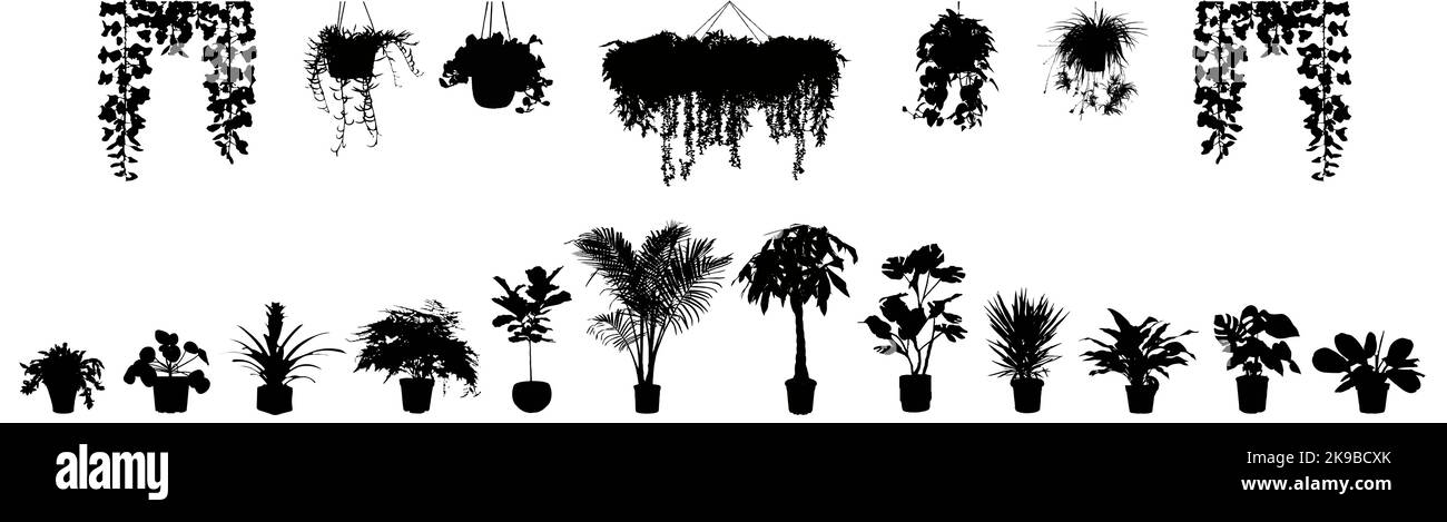 Les silhouettes de plantes en pot définissent l'image vectorielle isolée sur le blanc Illustration de Vecteur