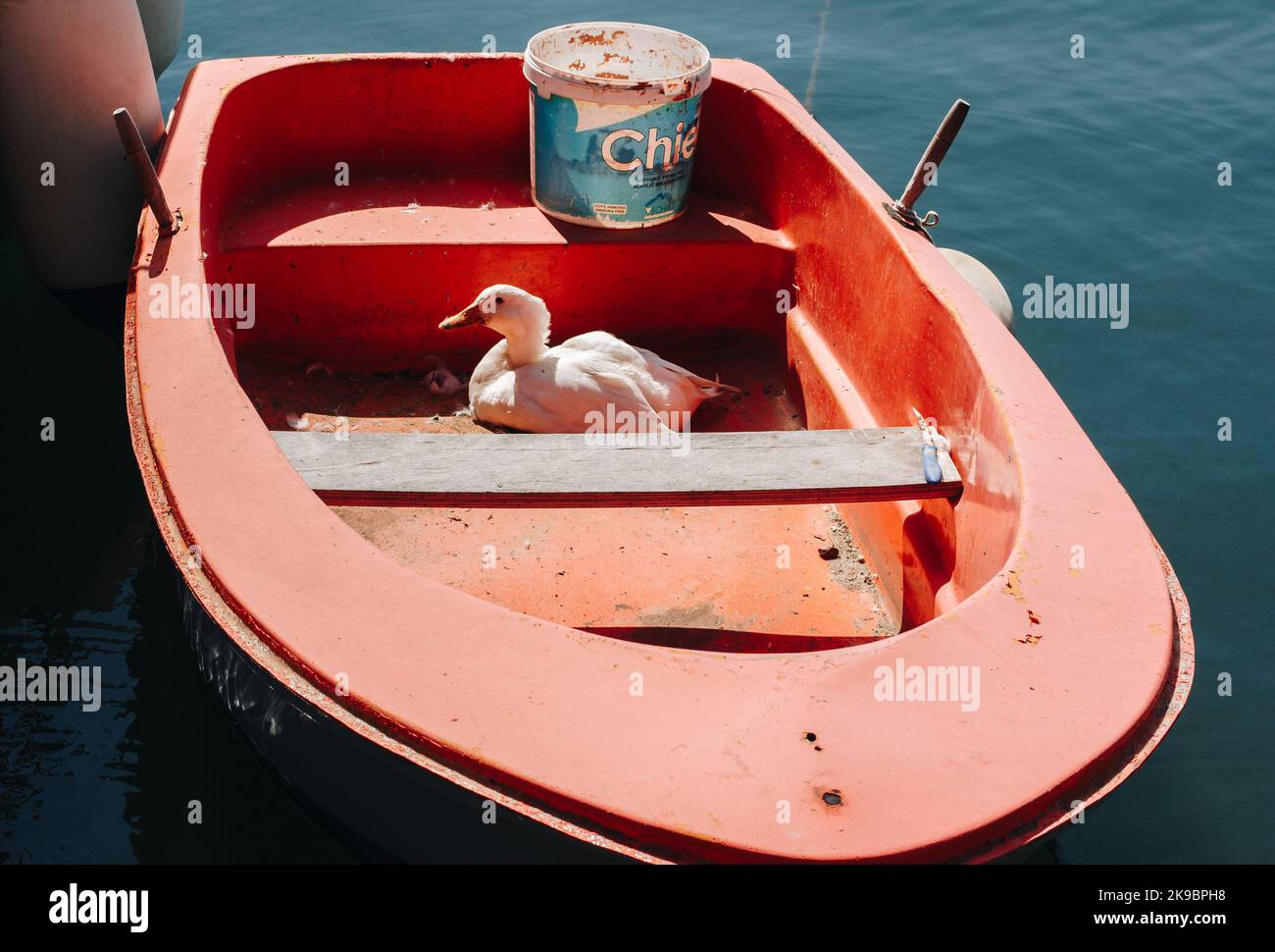 Corfou, Grèce 2022.10.04. Un bateau rouge avec une oie blanche dormant au soleil d'été. Banque D'Images