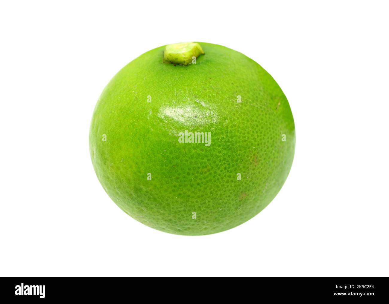 Gros plan un vert vif West Indian Lime isolé sur fond blanc Banque D'Images
