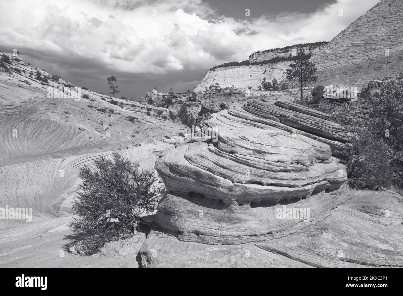 Parc national de Zion, côté est de grès flash déluge sculpture--noir et blanc Banque D'Images