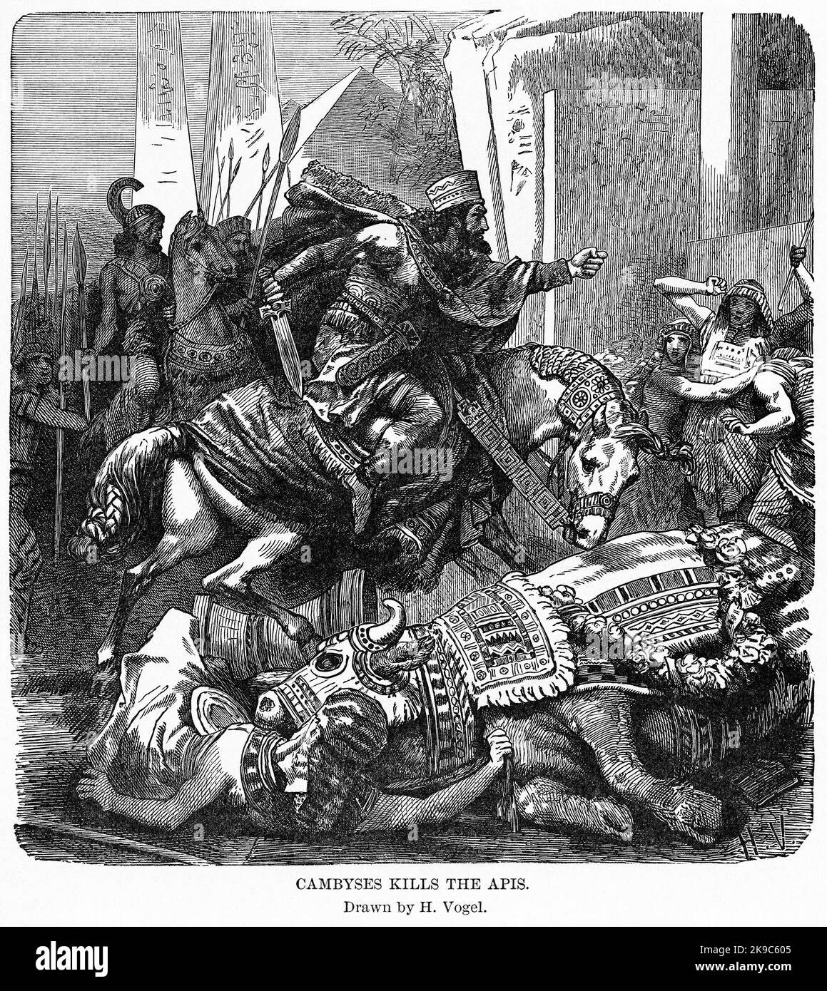 Cambyses Kills The APIs, Illustration, Ridpath's History of the World, Volume I, par John Clark Ridpath, LL. D., Merrill & Baker Publishers, New York, 1894 Banque D'Images