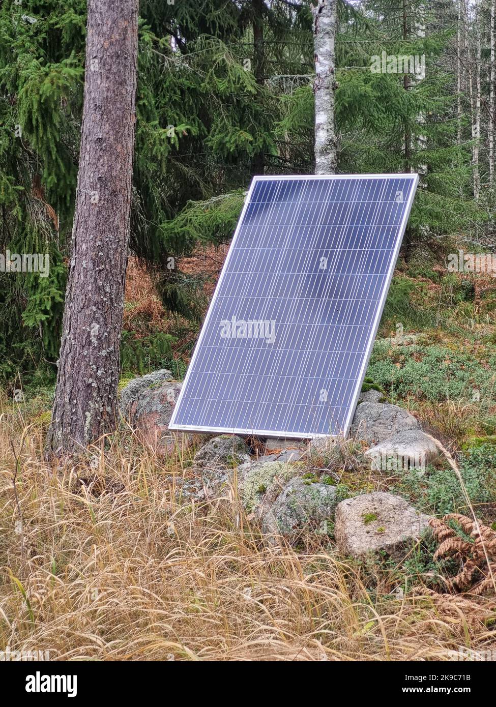 Panneau solaire à l'extérieur dans la forêt vue verticale Banque D'Images