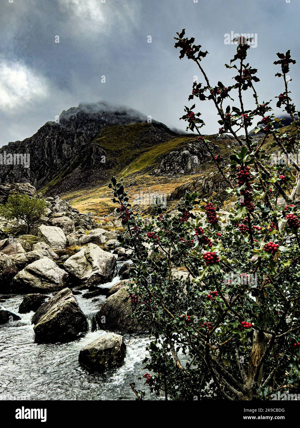 Mont Tryfan, parc national de Snowdonia Banque D'Images