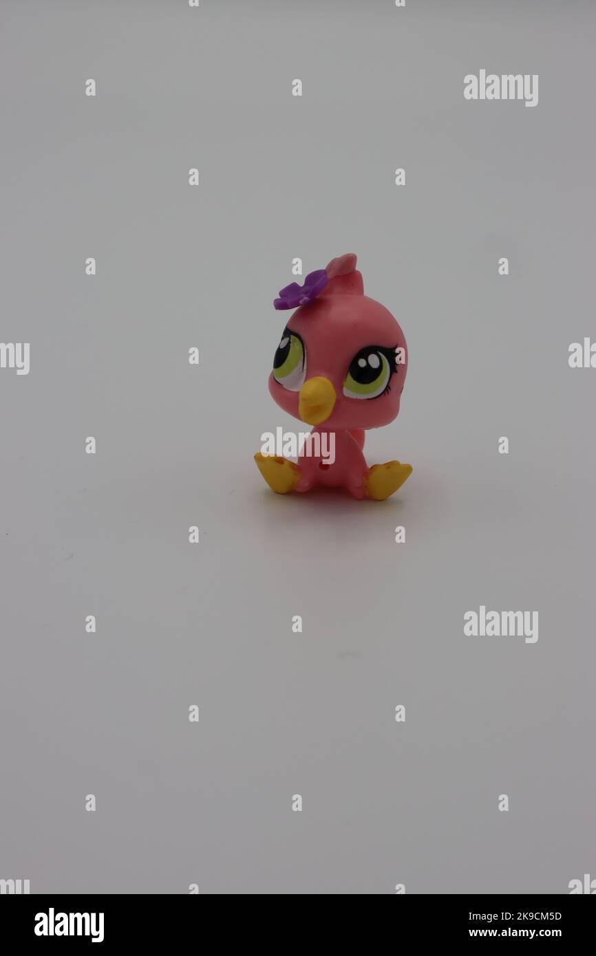 Petit animal en plastique mignon oiseau figure sur un fond blanc. Figurine de magasin d'animaux de compagnie la plus volumineuse isolée de collection avec une grande tête et de grands yeux. Banque D'Images