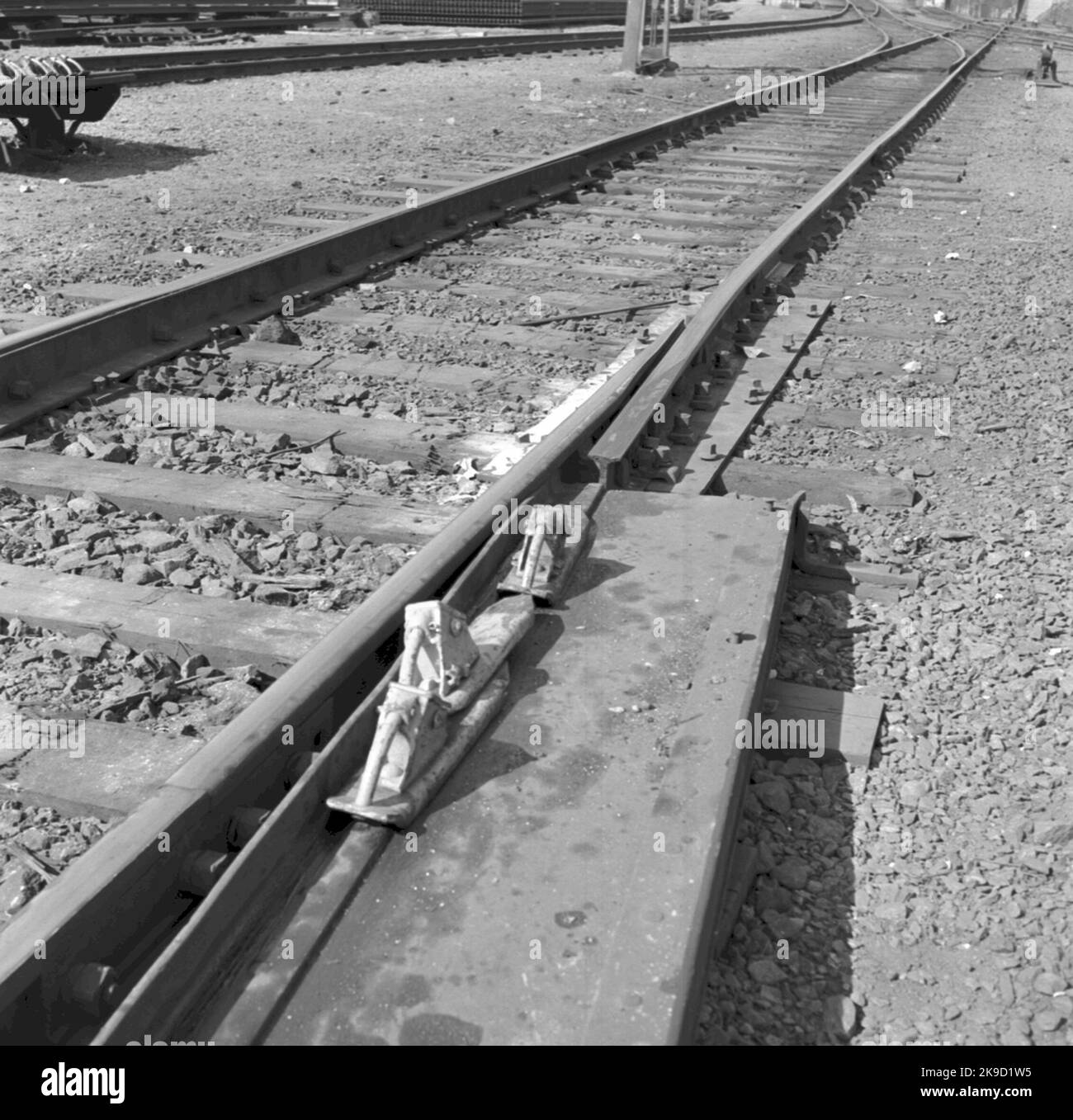 Skenbroms Banque D'Images