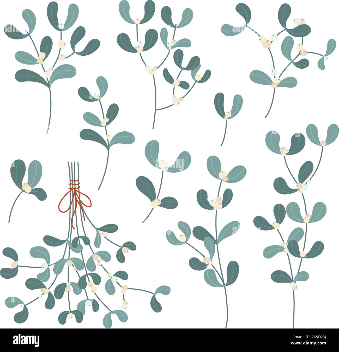 Branches de GUI. Décoration de Noël branche de plante avec baies et feuilles, éléments de dessin animé floral vecteur illustration ensemble Illustration de Vecteur