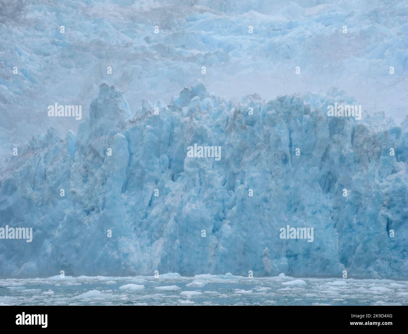 Glacier le Conte, forêt nationale de Tongass, Alaska. Banque D'Images