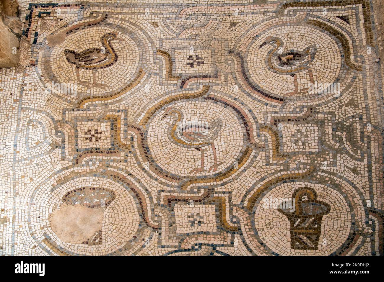Sol en mosaïque Qasr Al Hallaplat fort désert château Jordan Banque D'Images